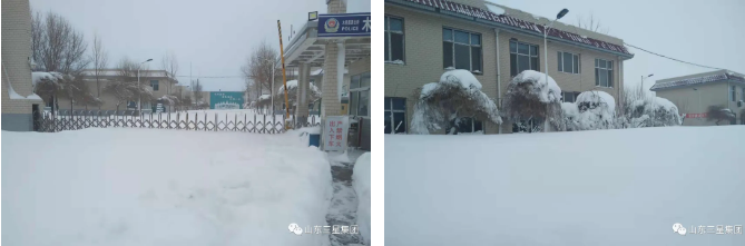 通辽鸿运国际，破雪前行