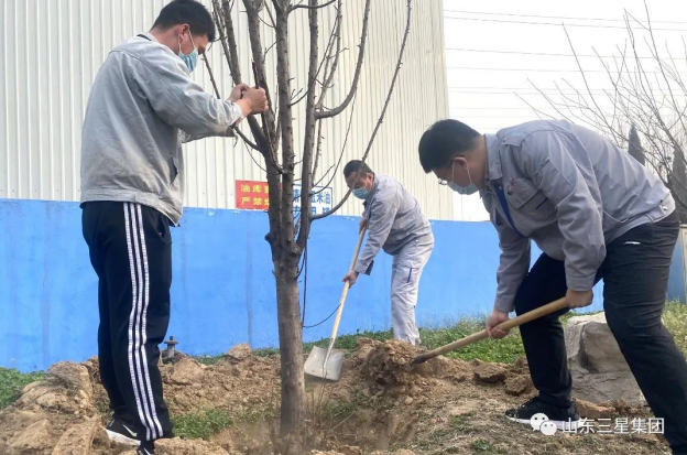 【植树节】山东鸿运国际集团：万物萌发季 春来植绿时