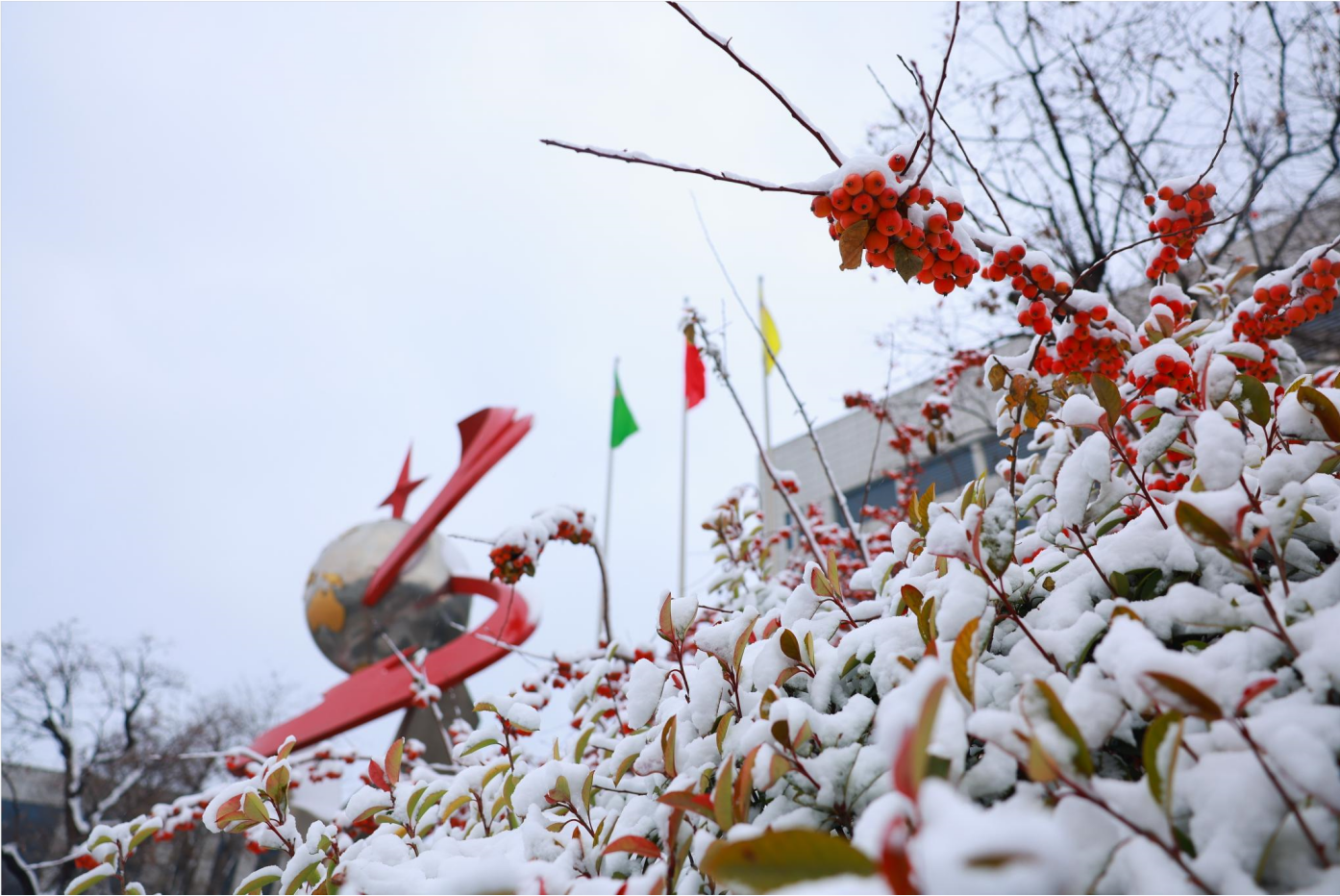 组图｜瑞雪丰年 雪遇鸿运国际